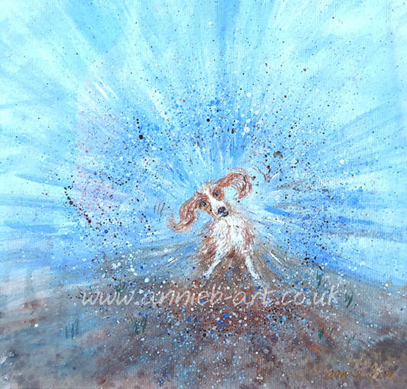 This cheeky Sprocker just loves to roll in the mud and water then have a good shake!  A mixed medium  painting on watercolour paper mounted, and framed in a light wooden frame  ready for your walls to uplift any space by annie b.  Painting size  -  -  framed size 50cm x 50cm