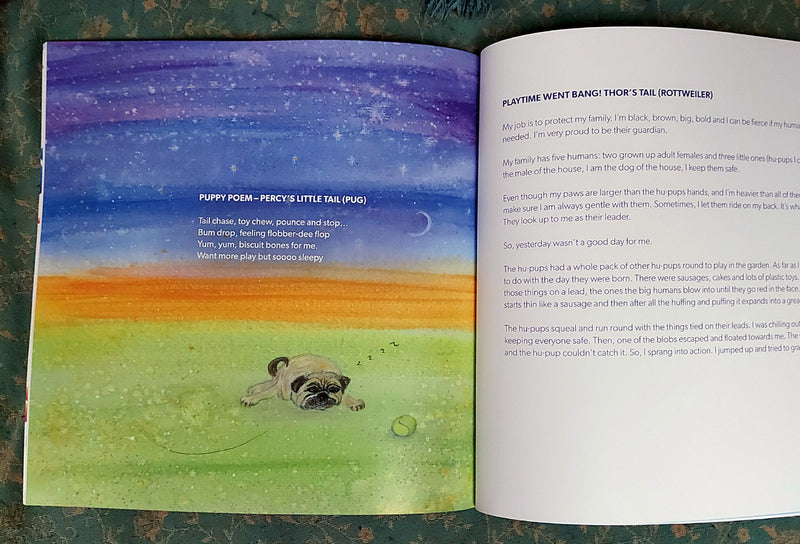 'Bedtime tales tails for dogs' - paperback children's book
