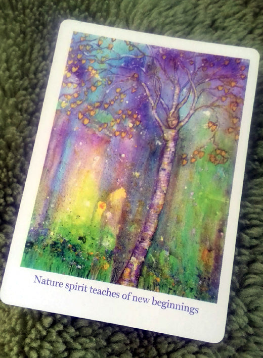 A deck of 34 Nature Spirit Oracle cards channelled by annie b. to help you connect with the magical Nature Spirits for inspiration on life's journey, for they teach us natures' way bringing peacefulness, joy and harmony into our lives. Card size 87mm x 62mm. Wholesale prices available on enquiry. These cards have been featured in Soul & Spirit Magazine.